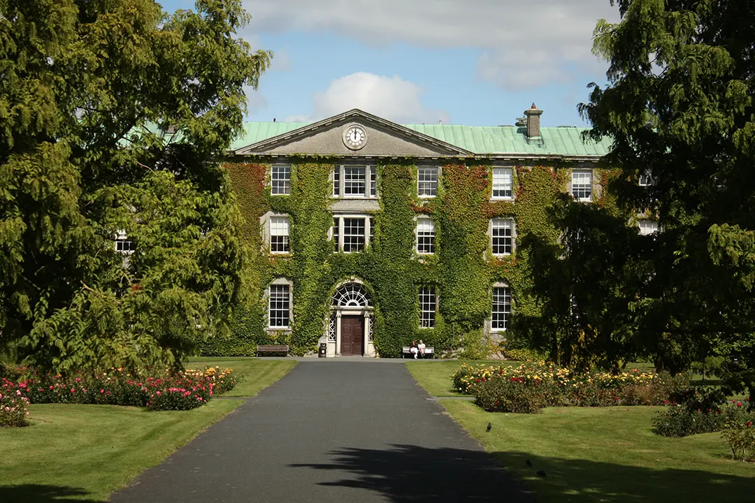 Maynooth University